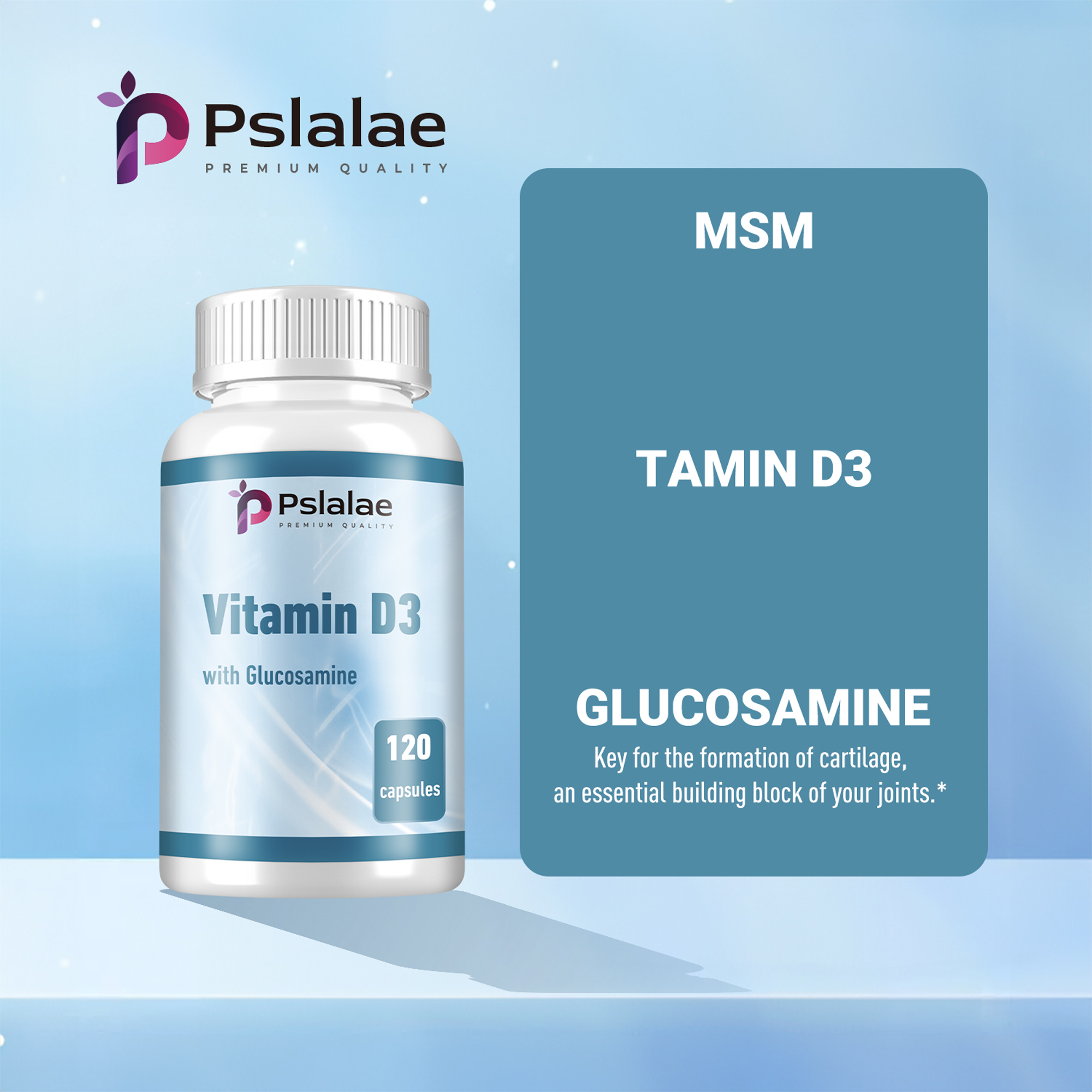 MSM + Vitamin D3 with Glucosam - Glucosamine Chondroitin Joint reseña y precio