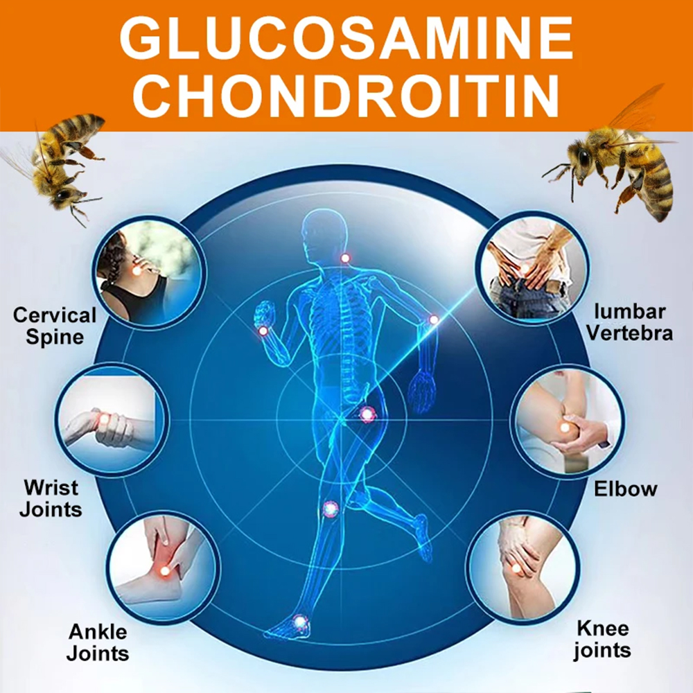 Glucosamine Chondroitin MSM an - Glucosamine Chondroitin Joint reseña y precio