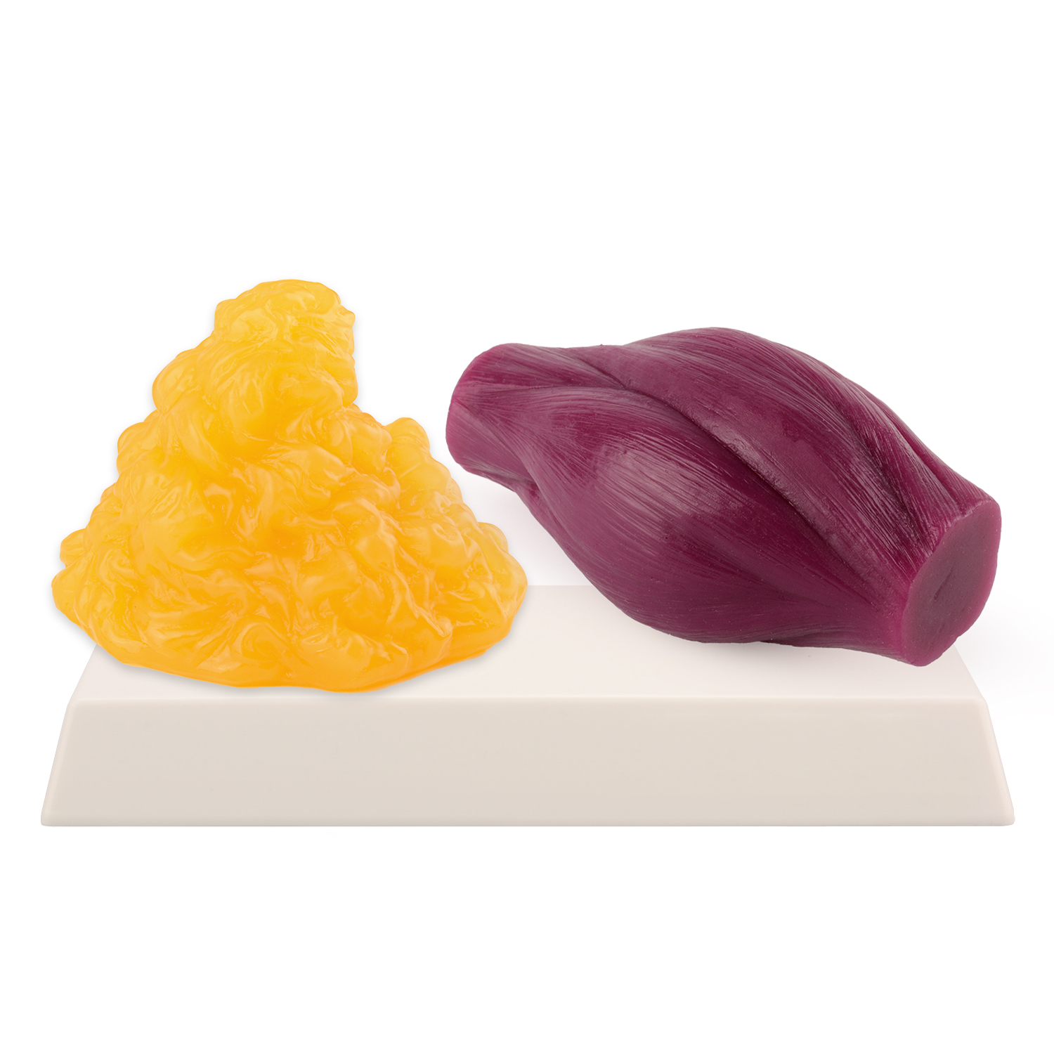 1lb Fat Replica & Muscle to Ke - Nutrition Fitness reseña y precio
