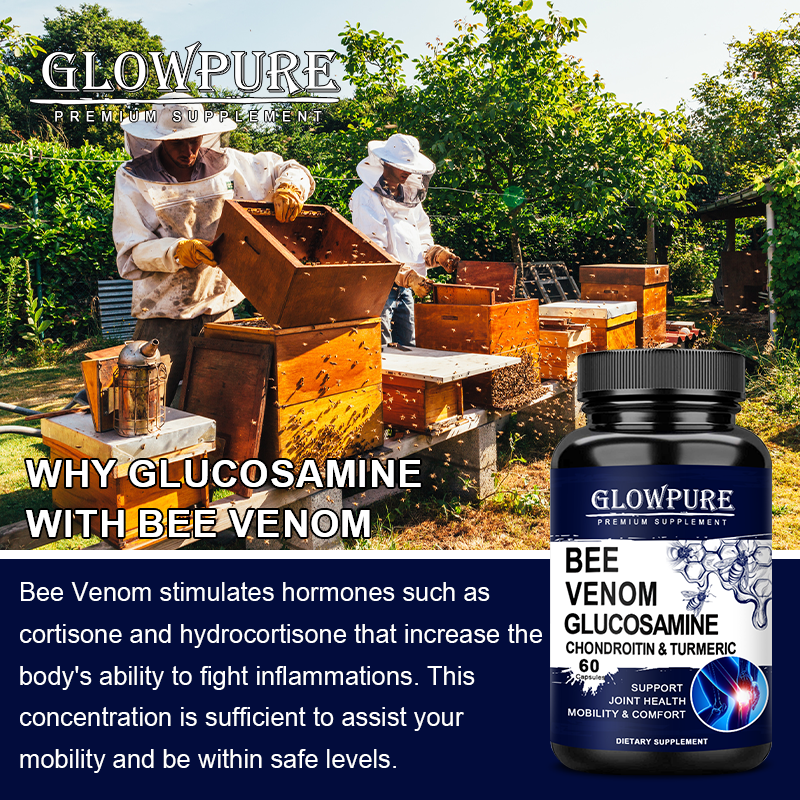 Glucosamine Chondroitin Capsul - Glucosamine Chondroitin Joint reseña y precio