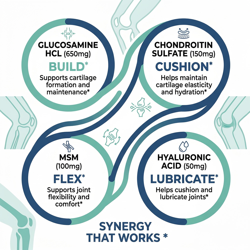 Glucosamine Chondroitin MSM Ca - Glucosamine Chondroitin Joint reseña y precio